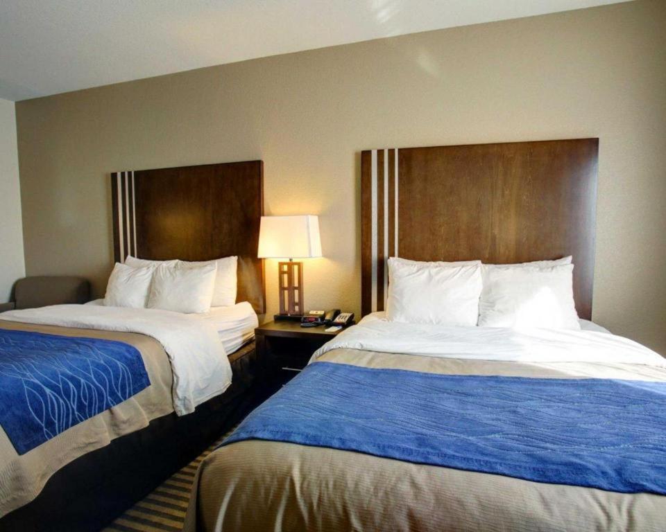 Comfort Inn & Suites Navasota Экстерьер фото