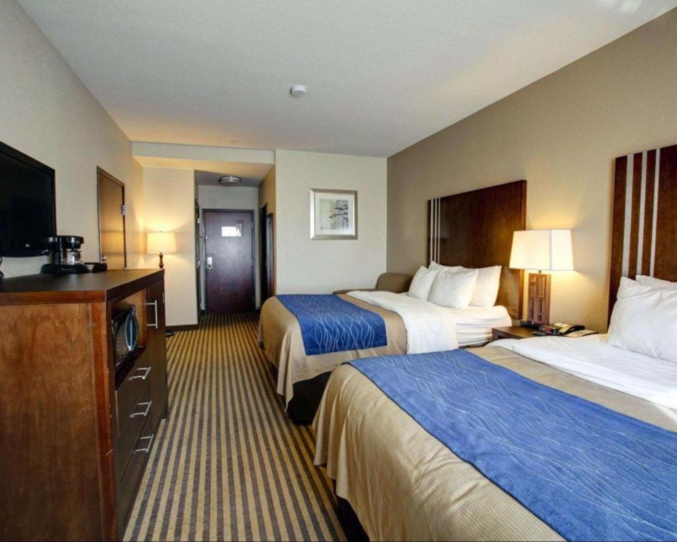 Comfort Inn & Suites Navasota Экстерьер фото