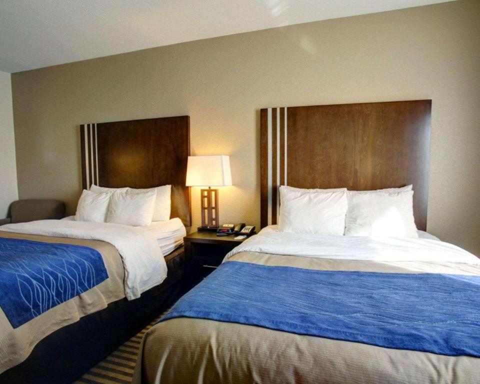 Comfort Inn & Suites Navasota Экстерьер фото