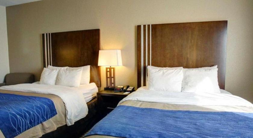 Comfort Inn & Suites Navasota Экстерьер фото